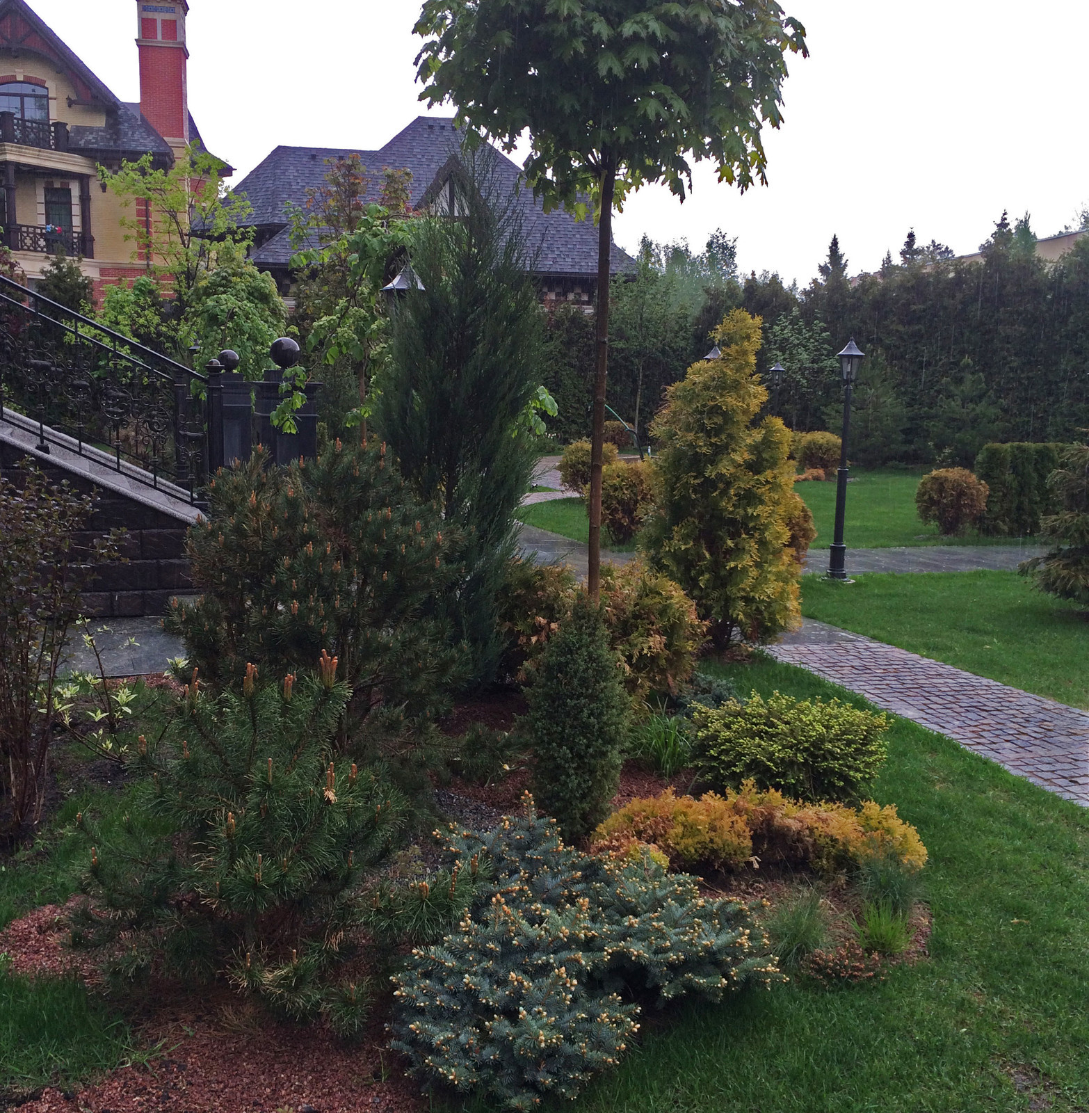 Фоновое изображение профиля Илья Лацис