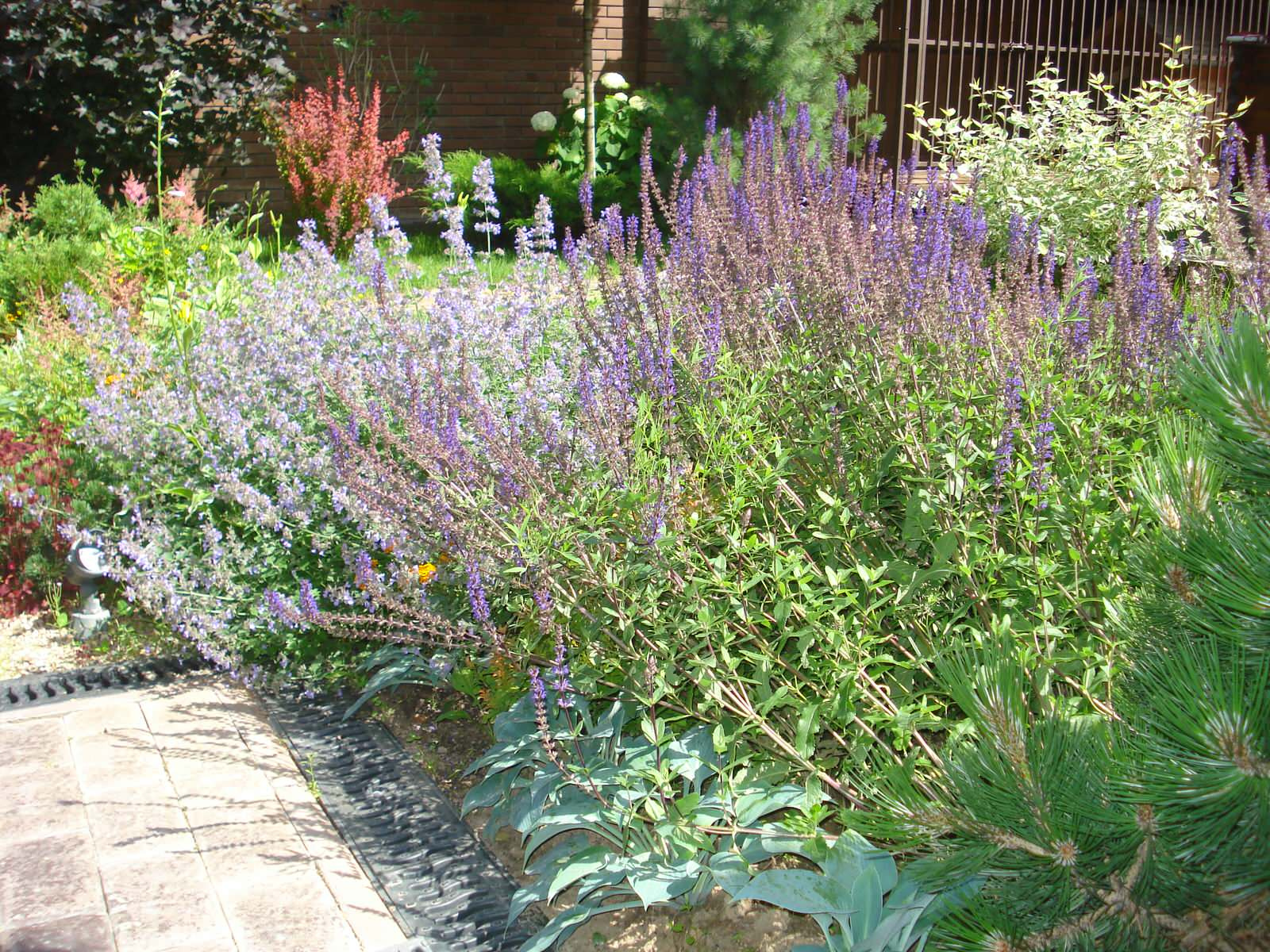 Обложка проекта: Коттеджный посёлок Городище