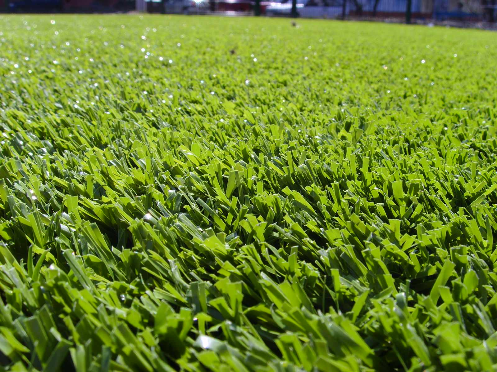 Спортивный газон