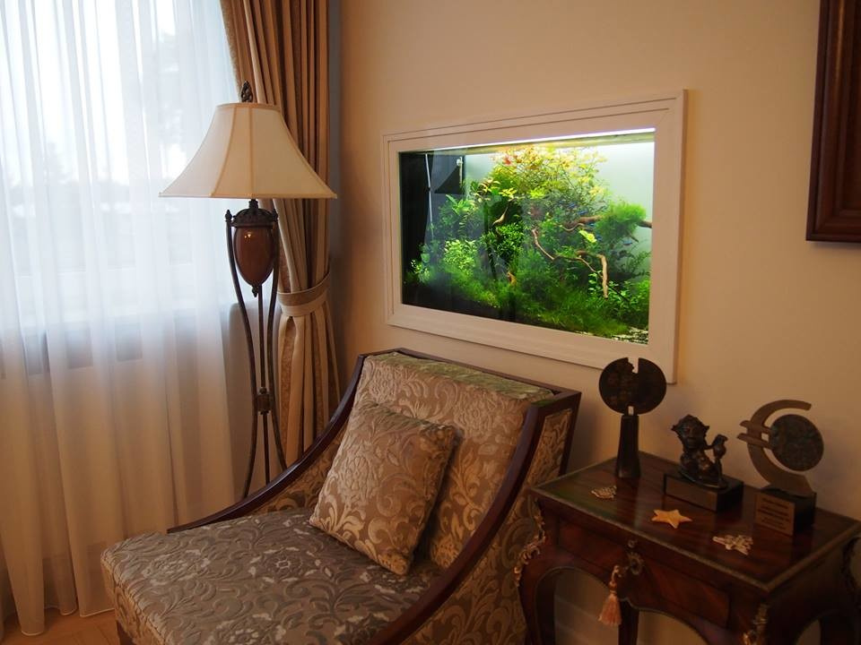 Обложка проекта: Аквадизайн