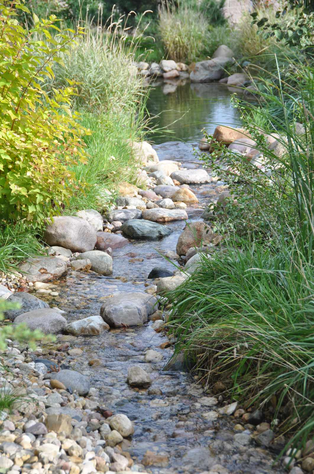 Обложка проекта: Elephant - загородный дом для активного отдыха