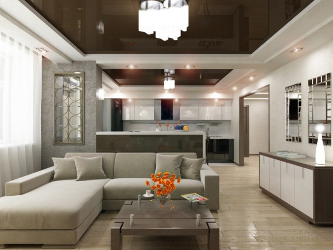 Кухня-Гостиная-Прихожая