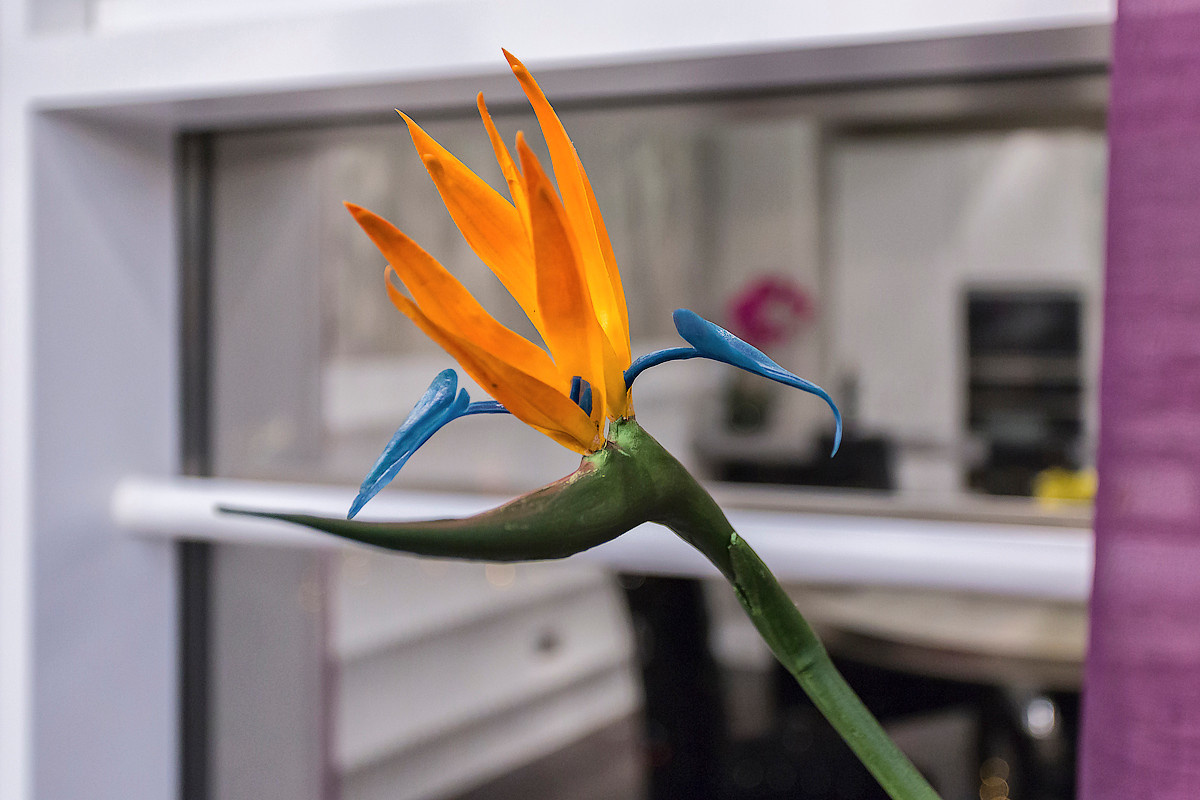 Апартаменты - Москва Сити