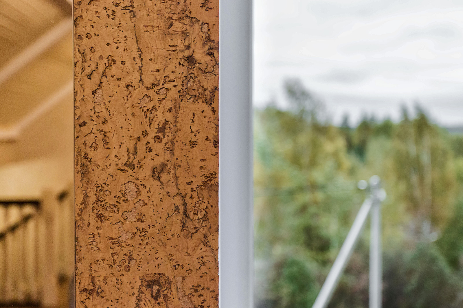 Загородный дом в Санкт-Петербурге