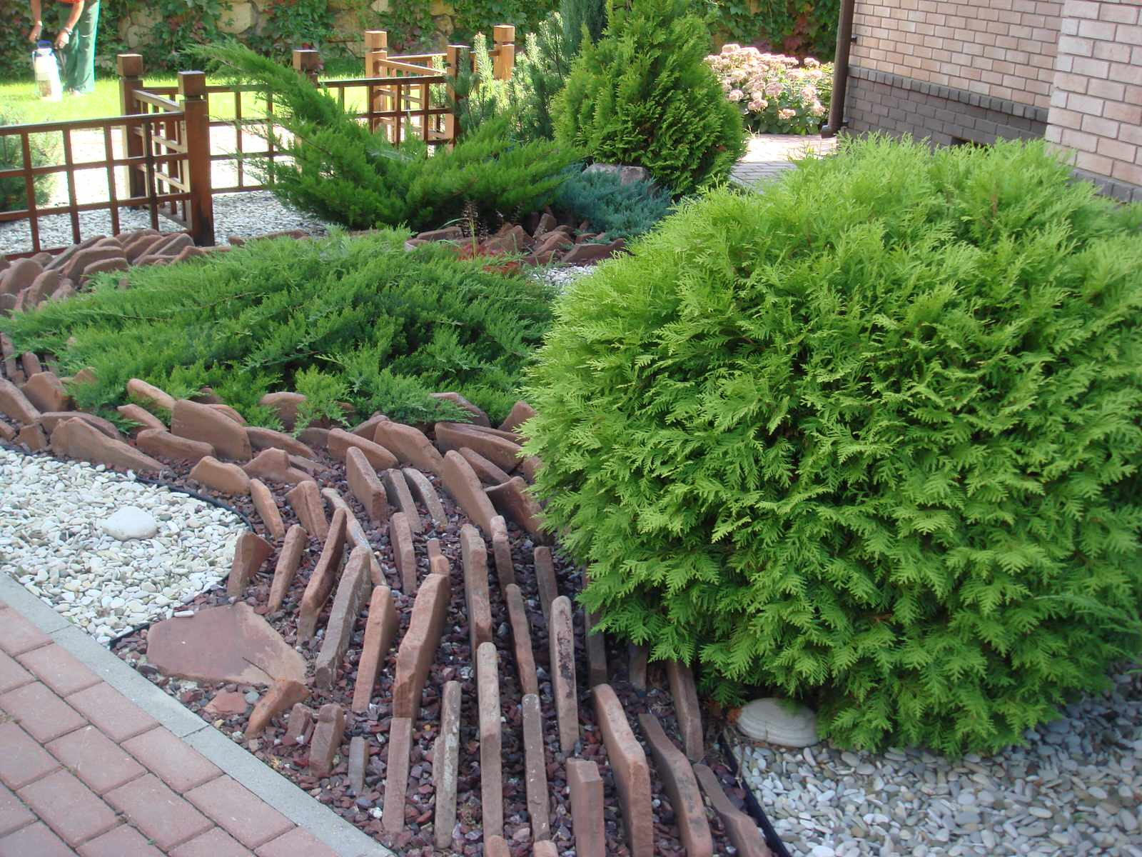 Сад "Динамика движения"