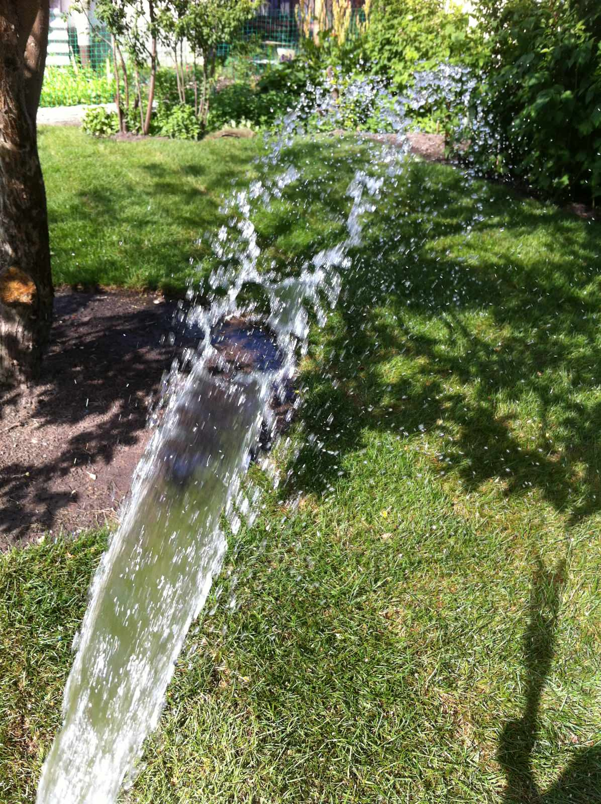 Сад на склоне. Реализация 2016 год