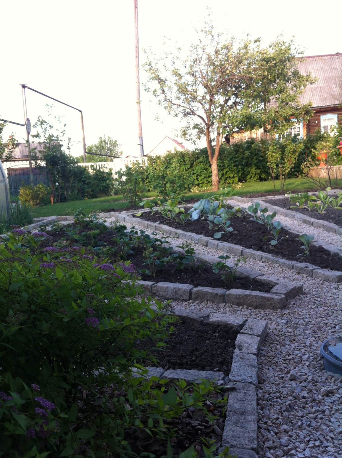 Сад на склоне. Реализация 2016 год