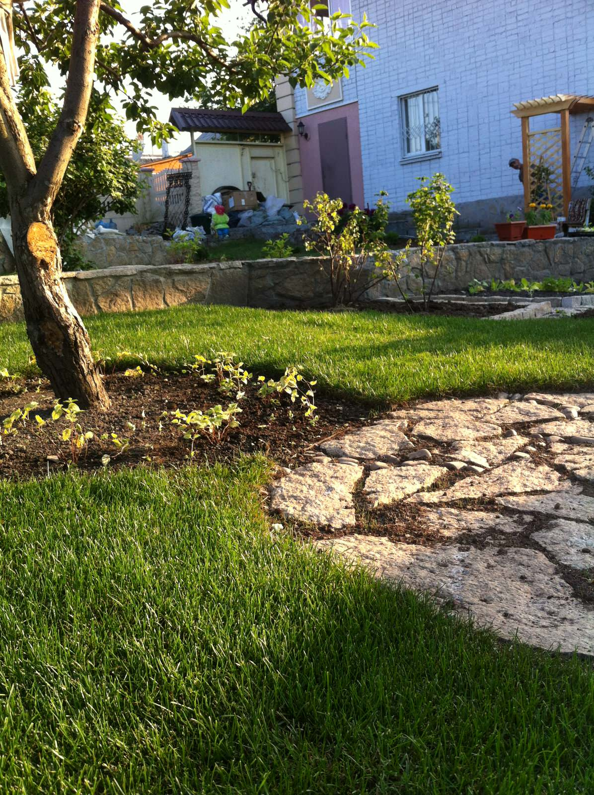 Сад на склоне. Реализация 2016 год