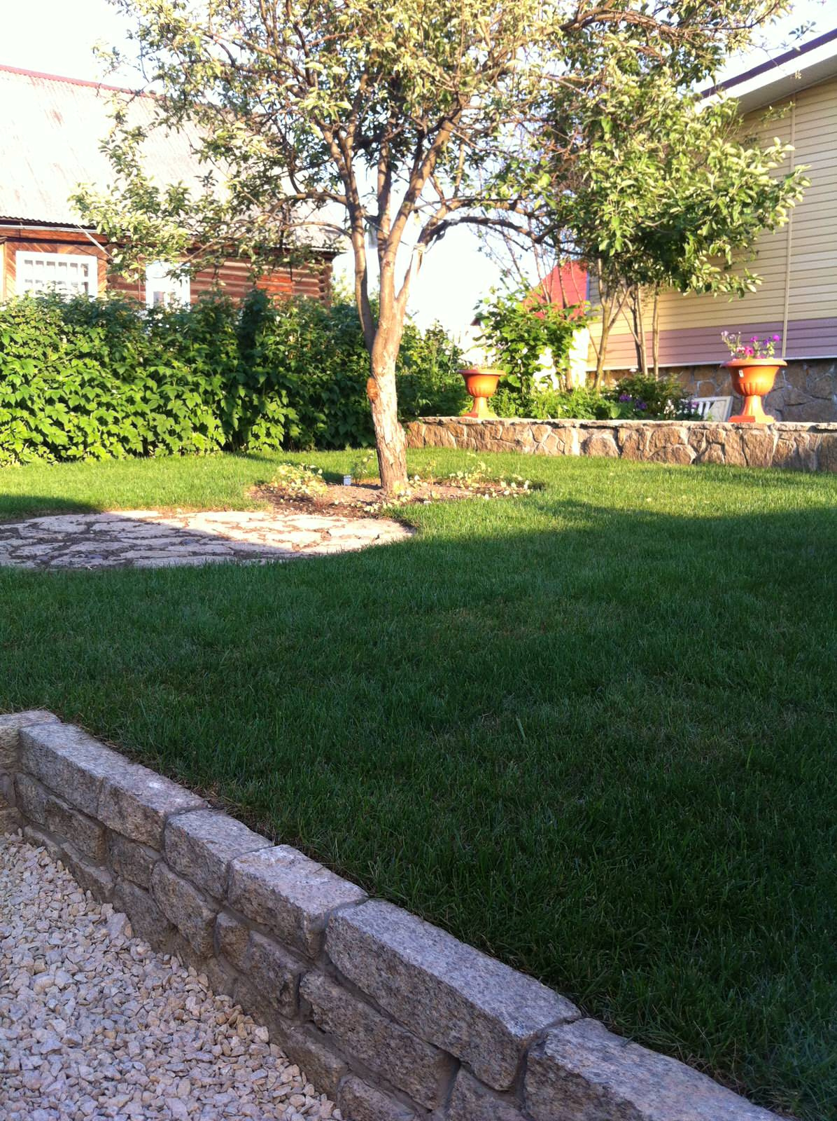 Сад на склоне. Реализация 2016 год