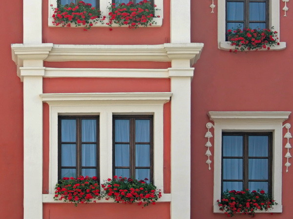 Алексей Торопов