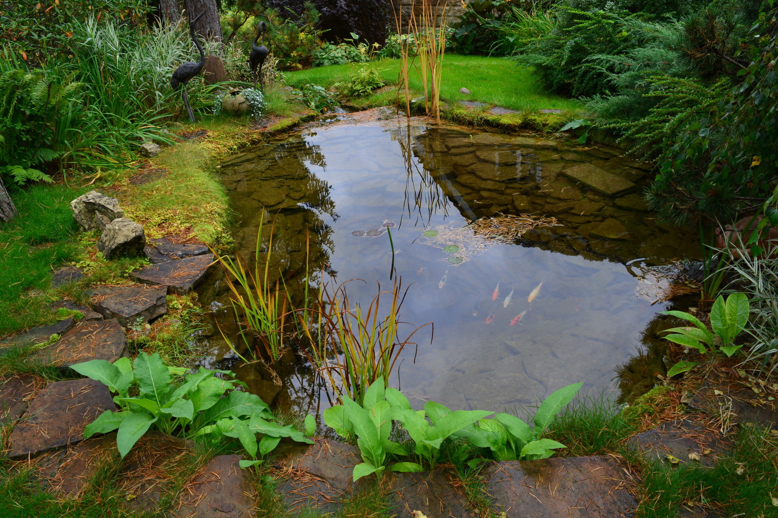 Проект в Ильичёво