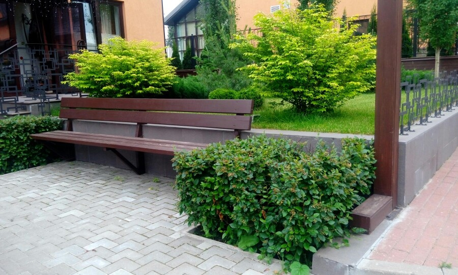 Анастасия Таратута