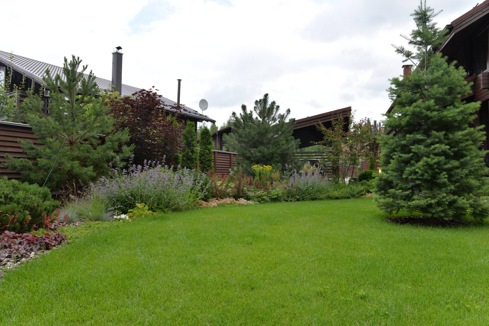 Обложка альбома: ландшафт