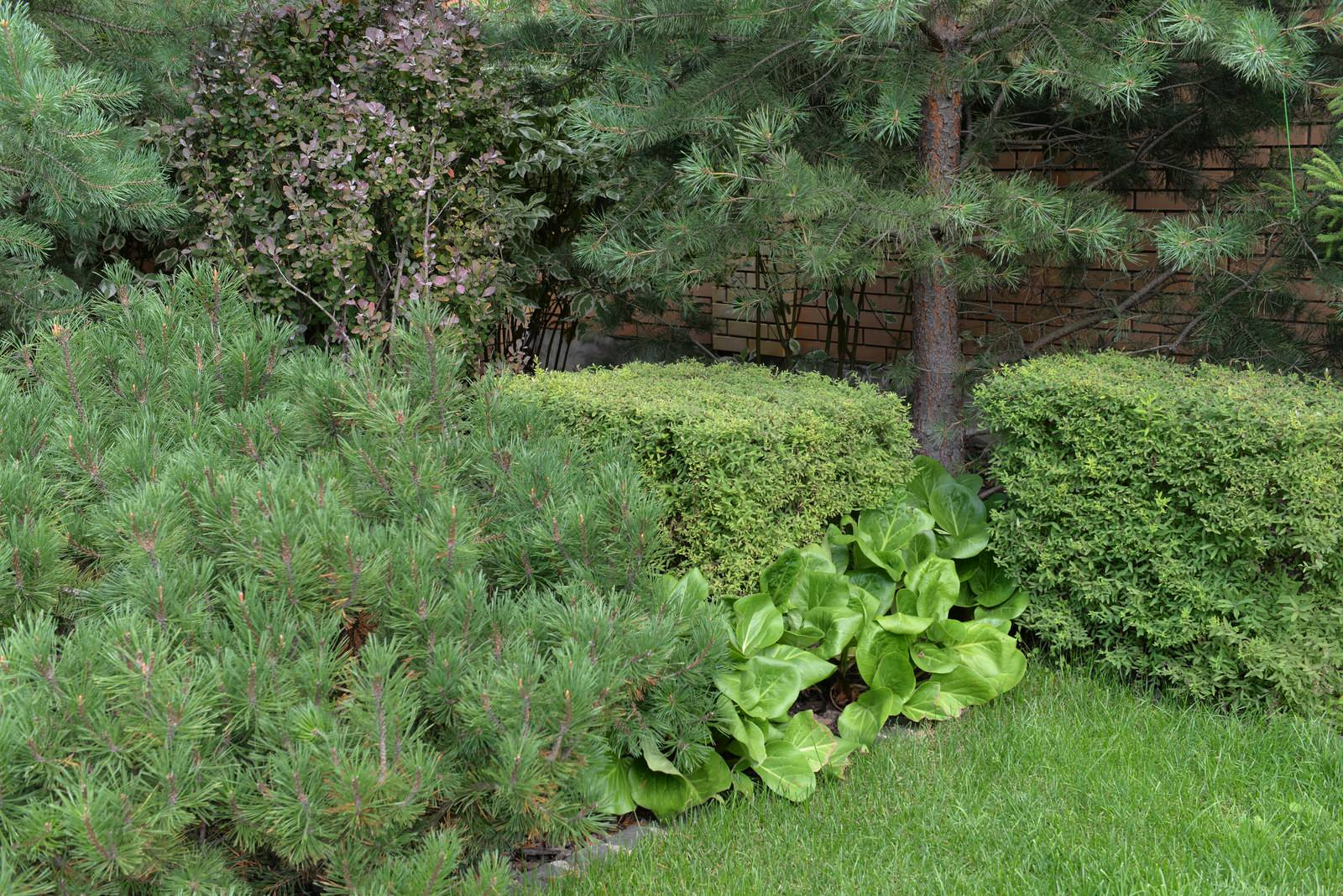 От знакомства до последнего цветника 6 месяцев