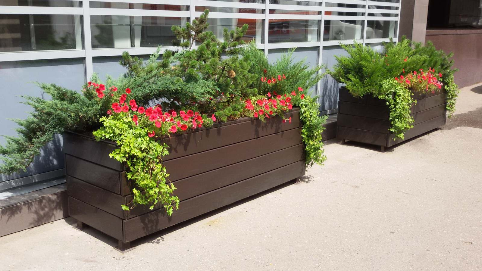 Обложка альбома: садовый дизайн