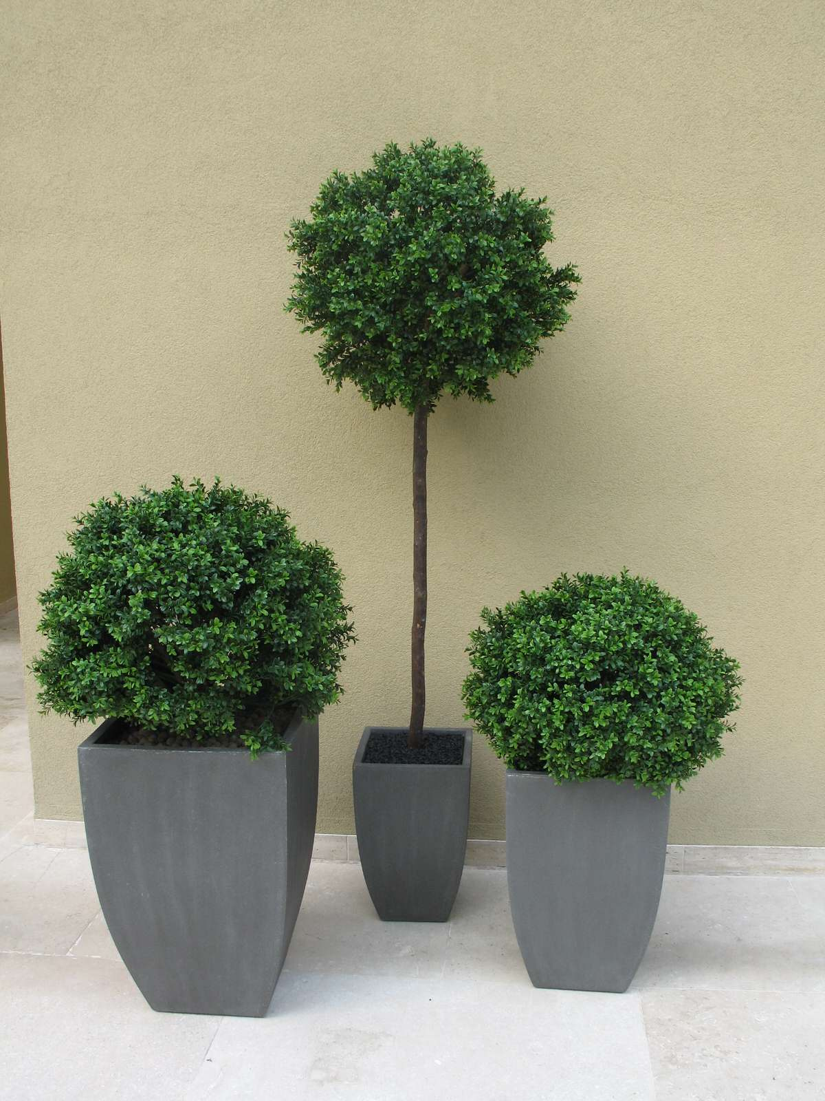 Контейнерное уличное озеленение