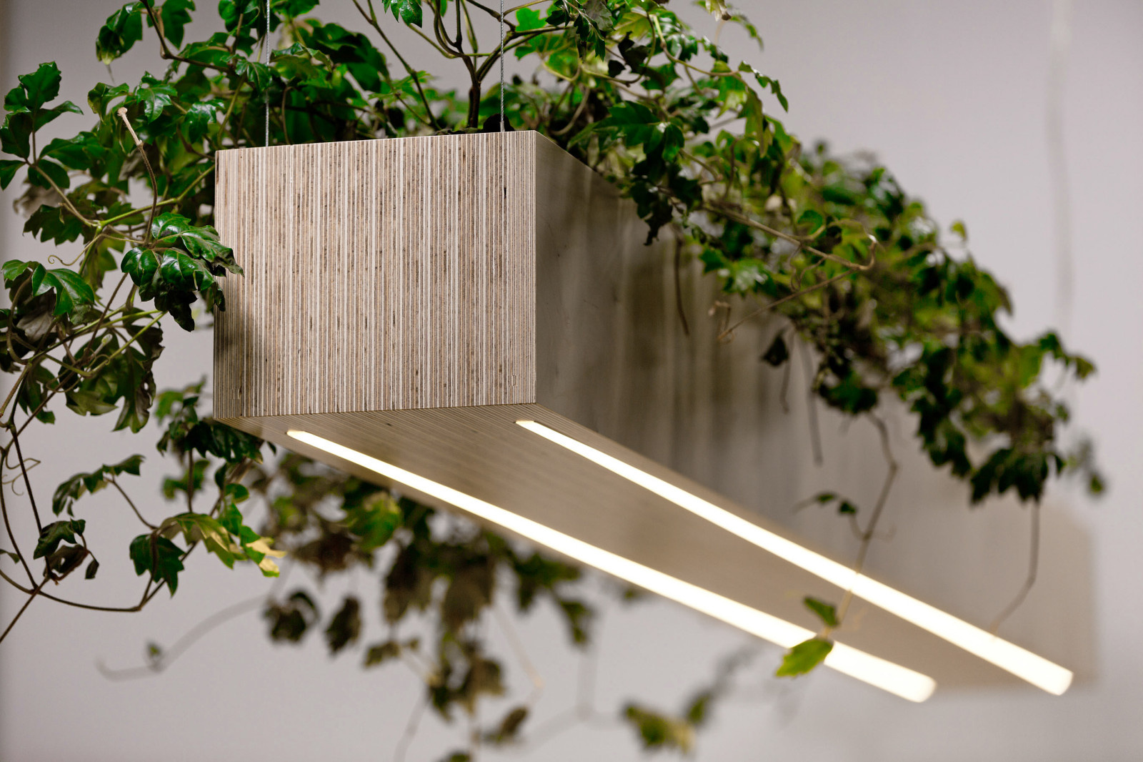 Green Office