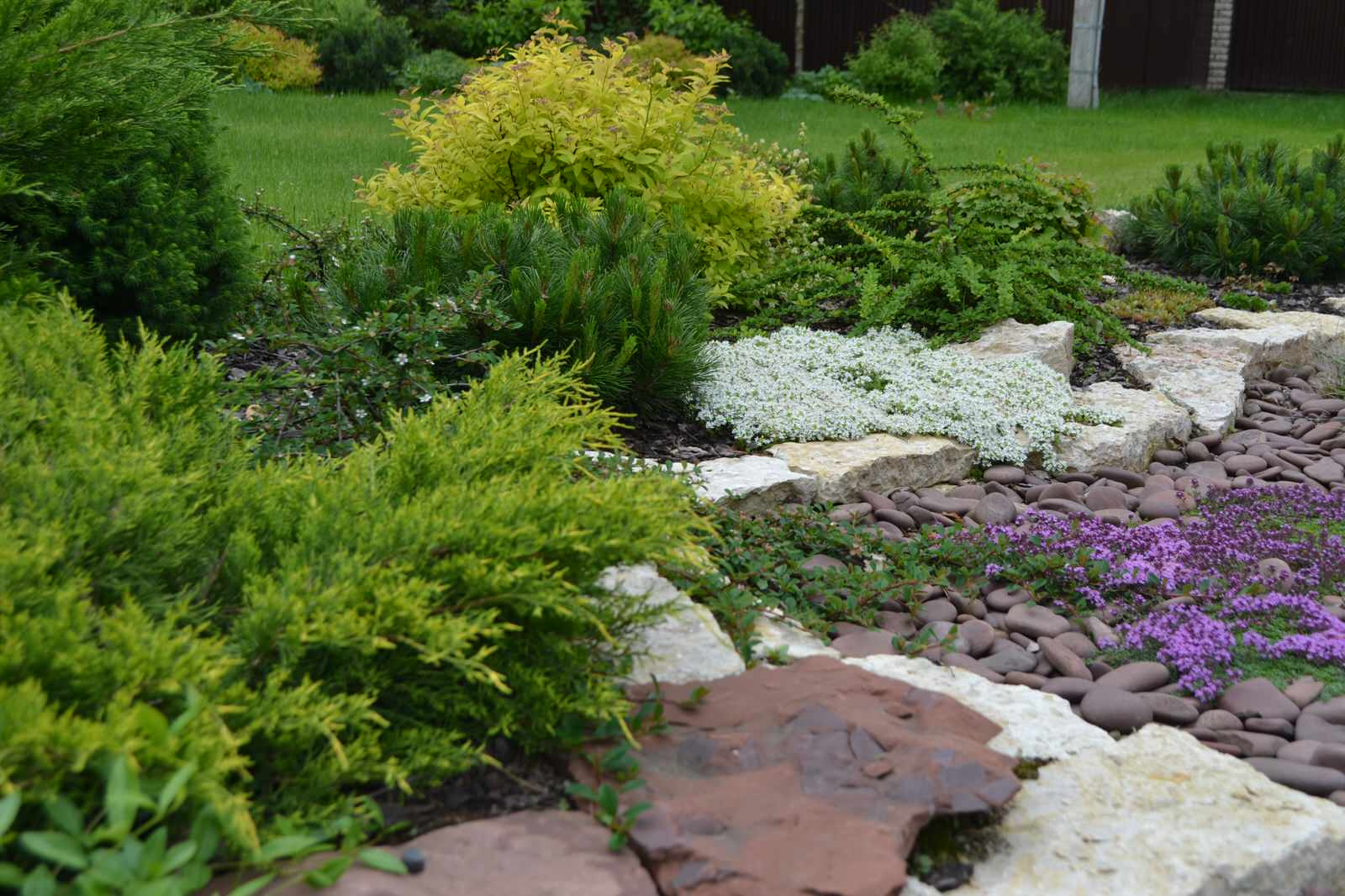 АЛЬПИНАРИИ И РОКАРИИ