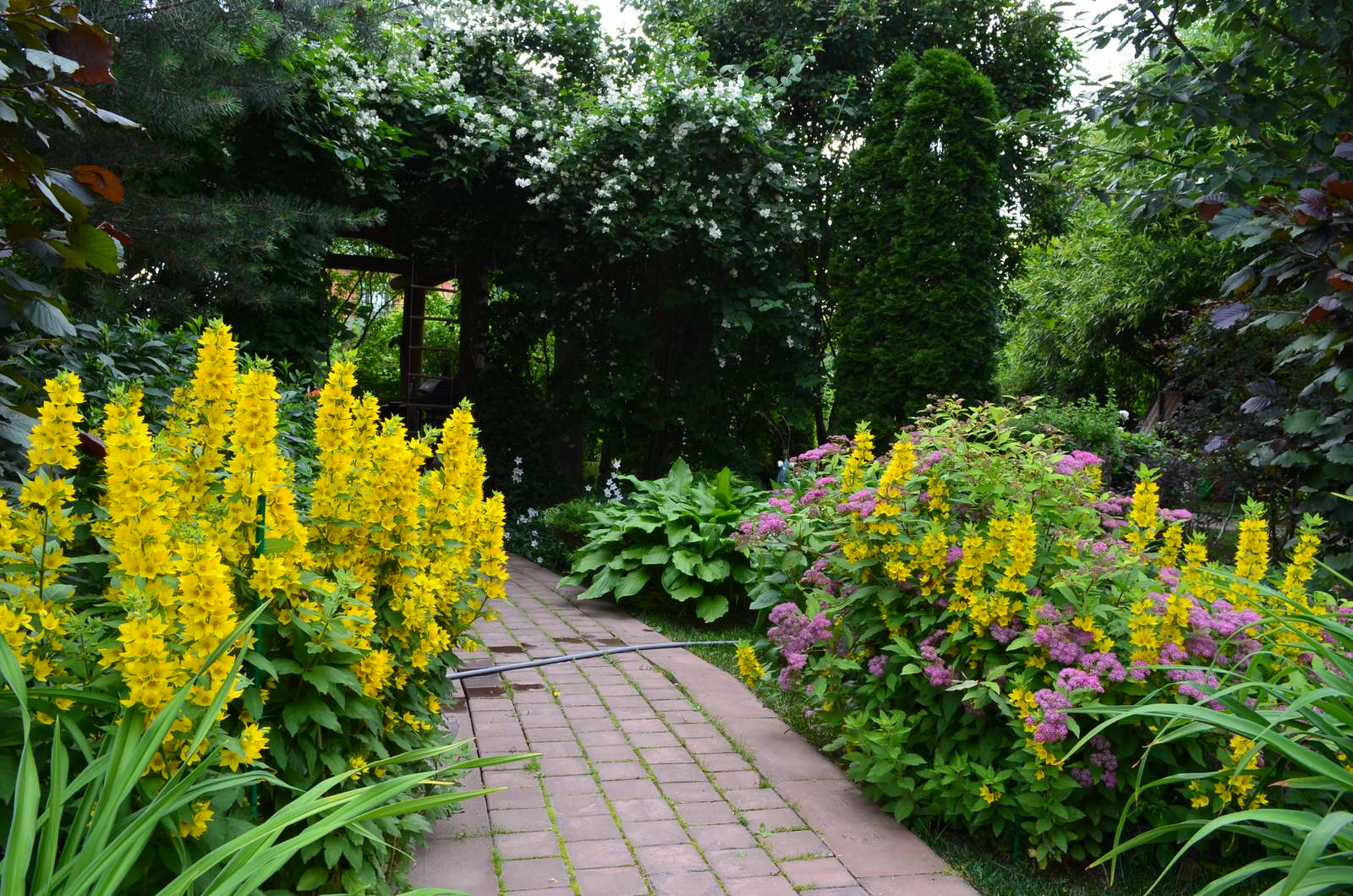 Сад "Царство растений" ландшафтный стиль.