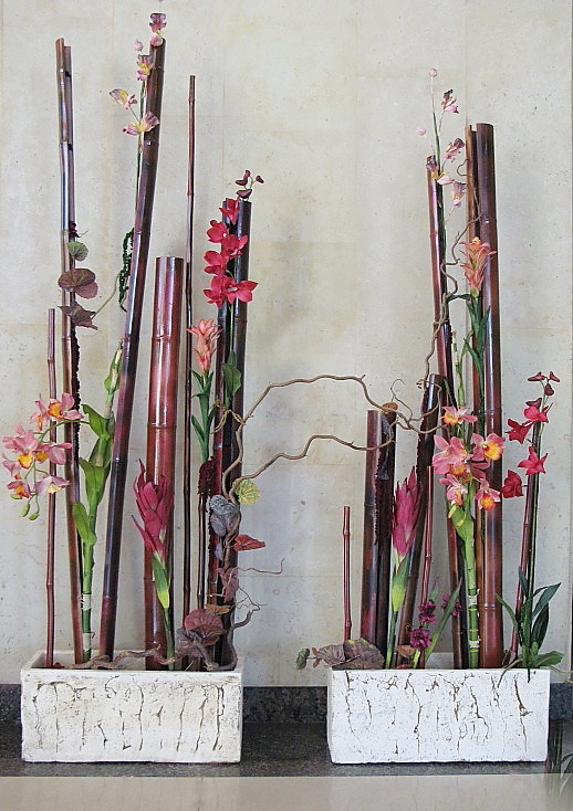 Фоновое изображение профиля Наталия Суслова