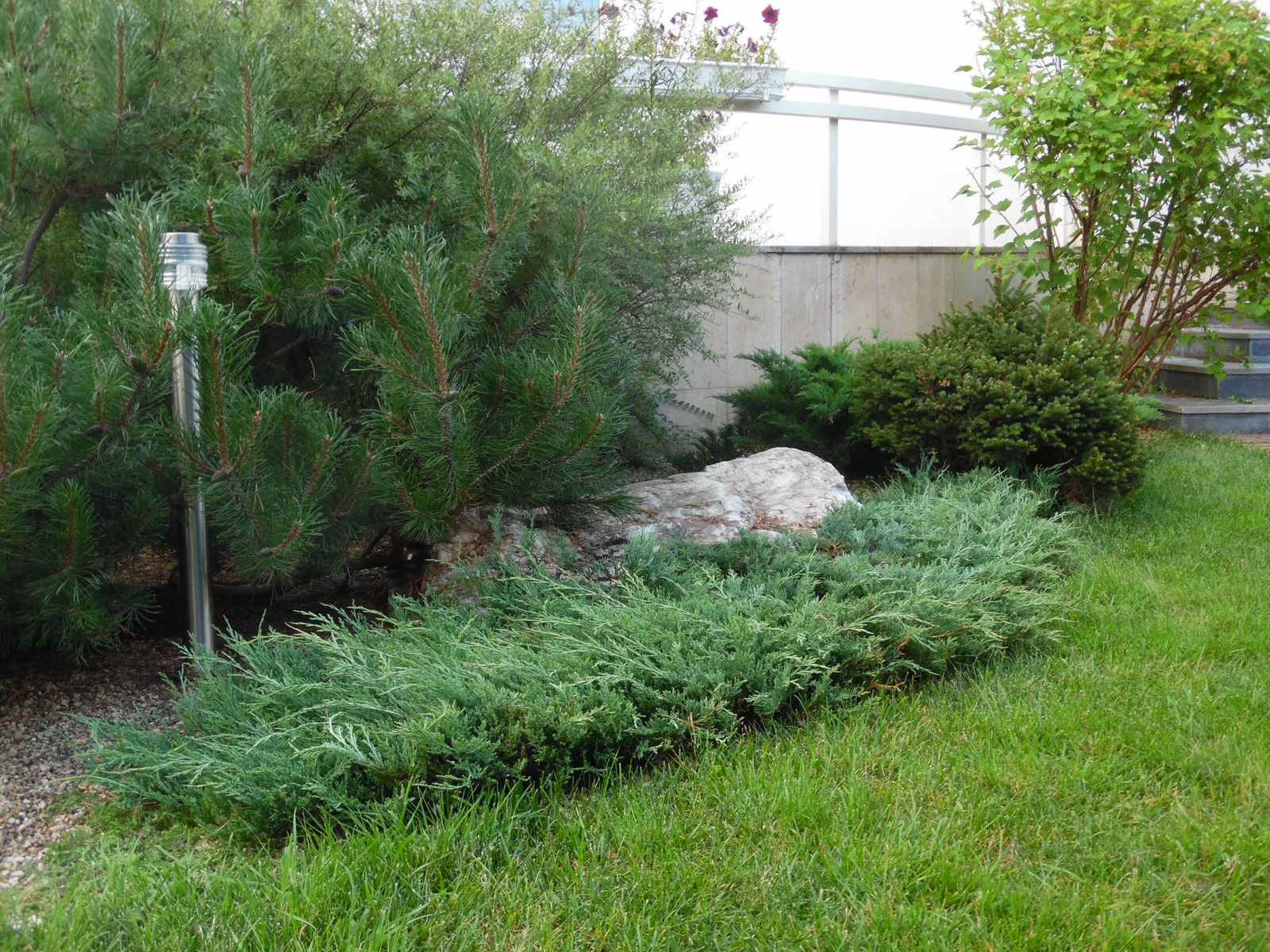 Маленький камерный сад.