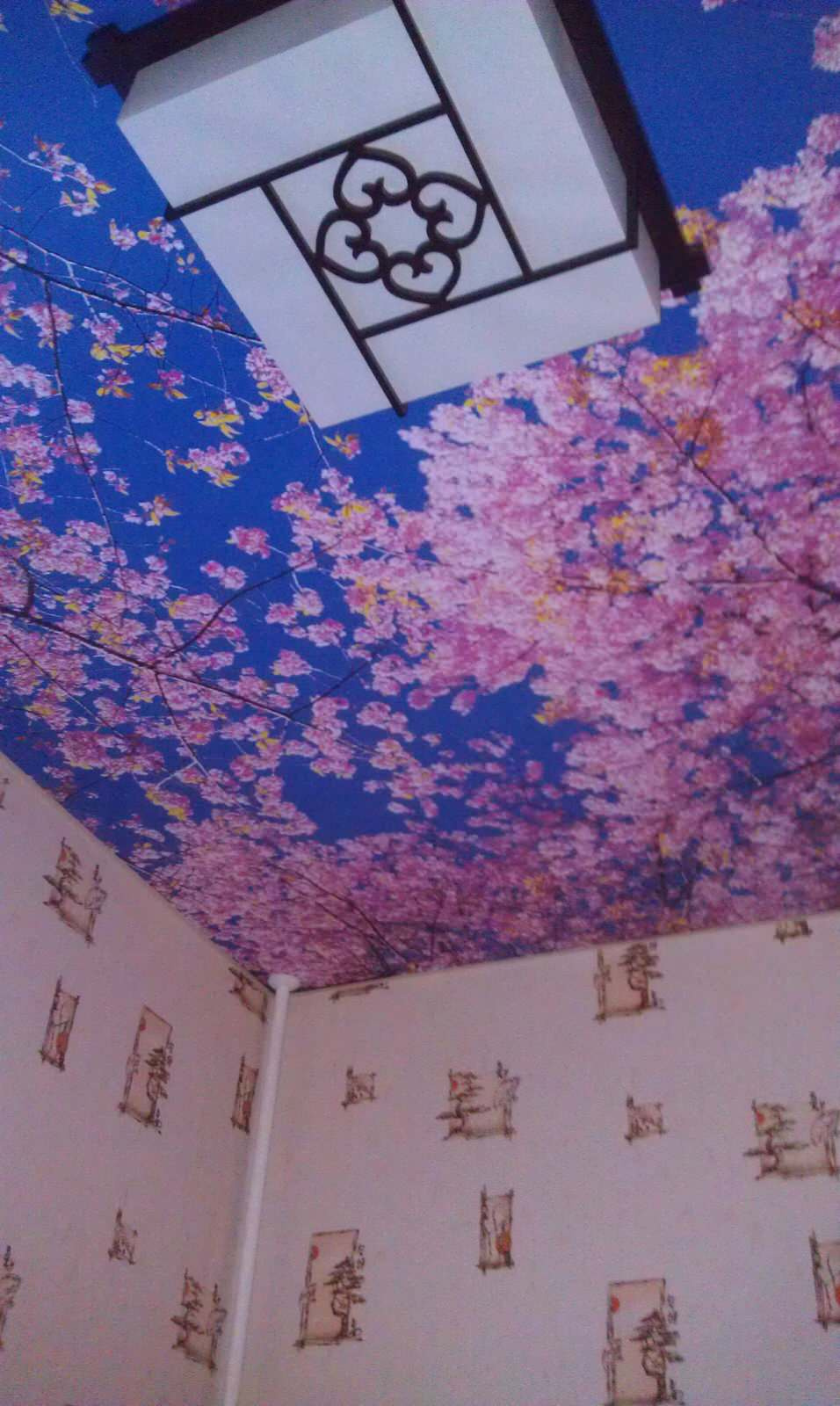 Континент плюс натяжные потолки