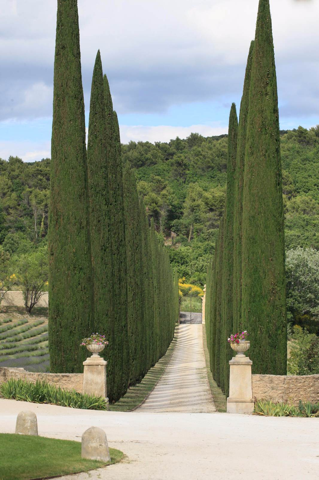 Обложка проекта: Французский сад