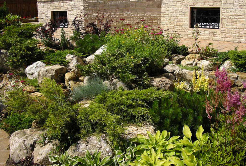 Наши работы