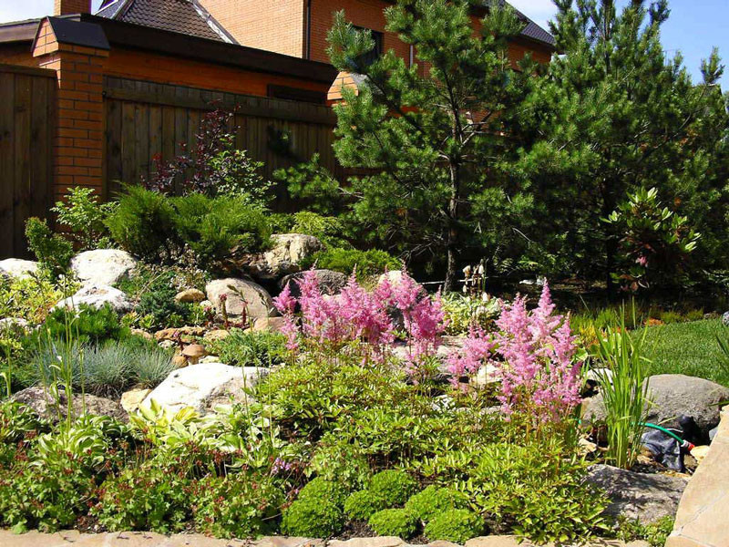 Наши работы