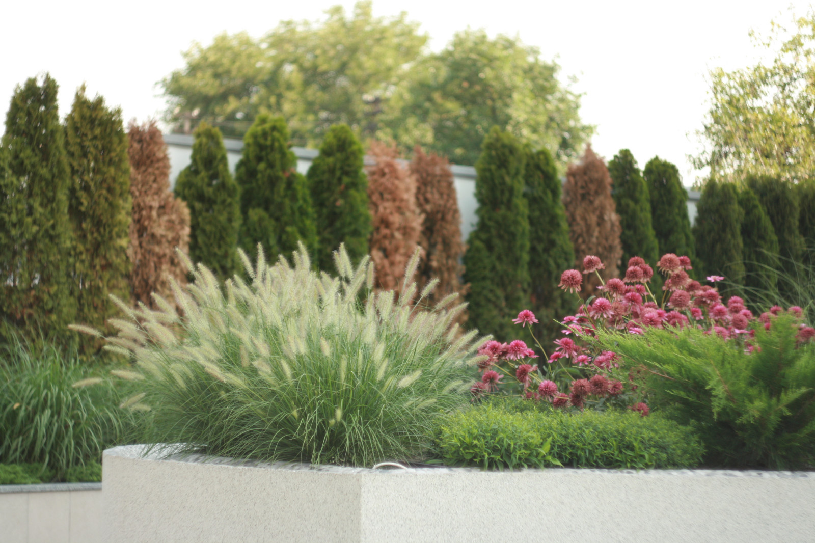 landscape design - Kirovskoe_Dnepropetrovsk region