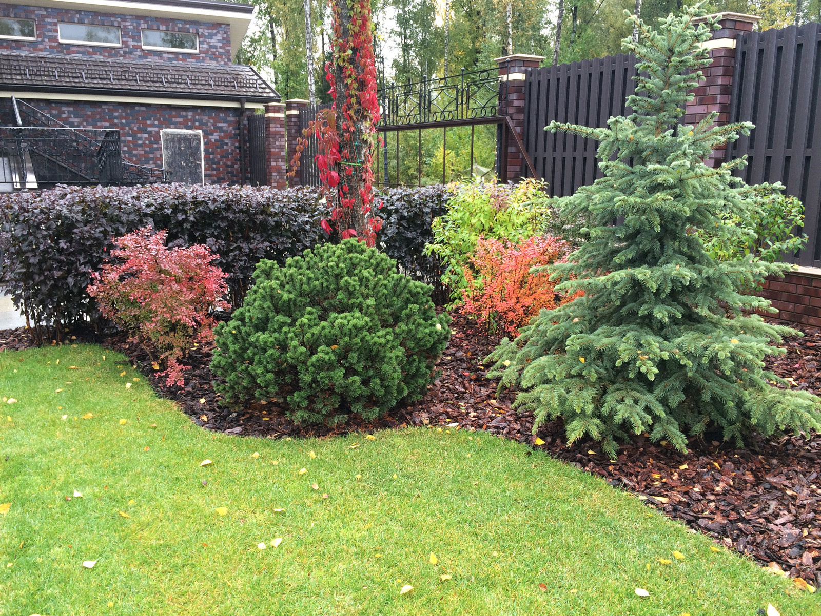 Летова роща