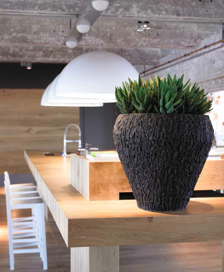 Обложка проекта: Композиции с комнатными растениями