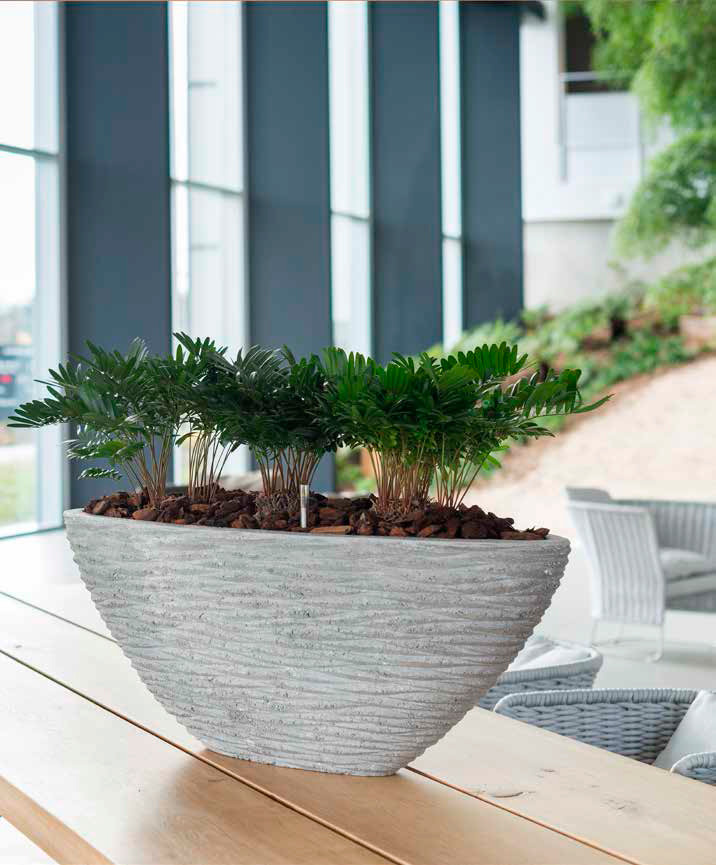 Композиции с комнатными растениями