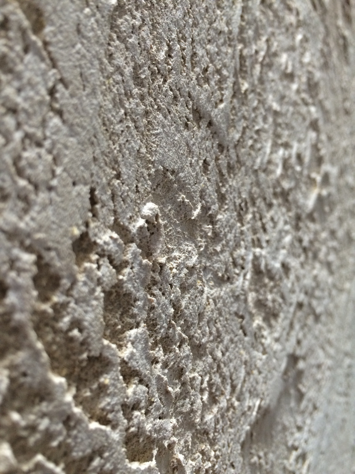 Выветренный песчанник/Weathered sandstone