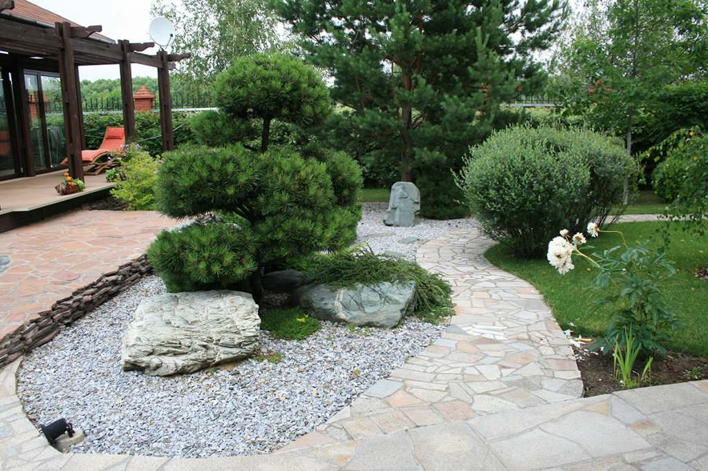 Фоновое изображение профиля Ирина