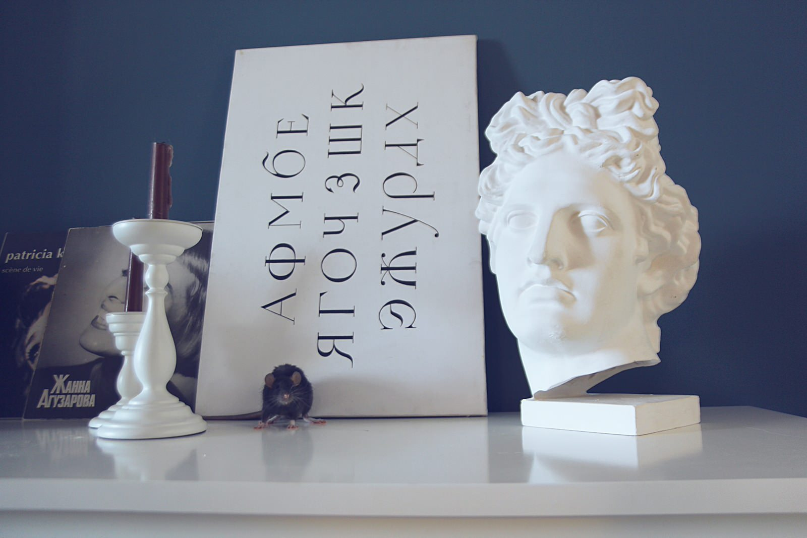 ЖК Царская столица СПБ