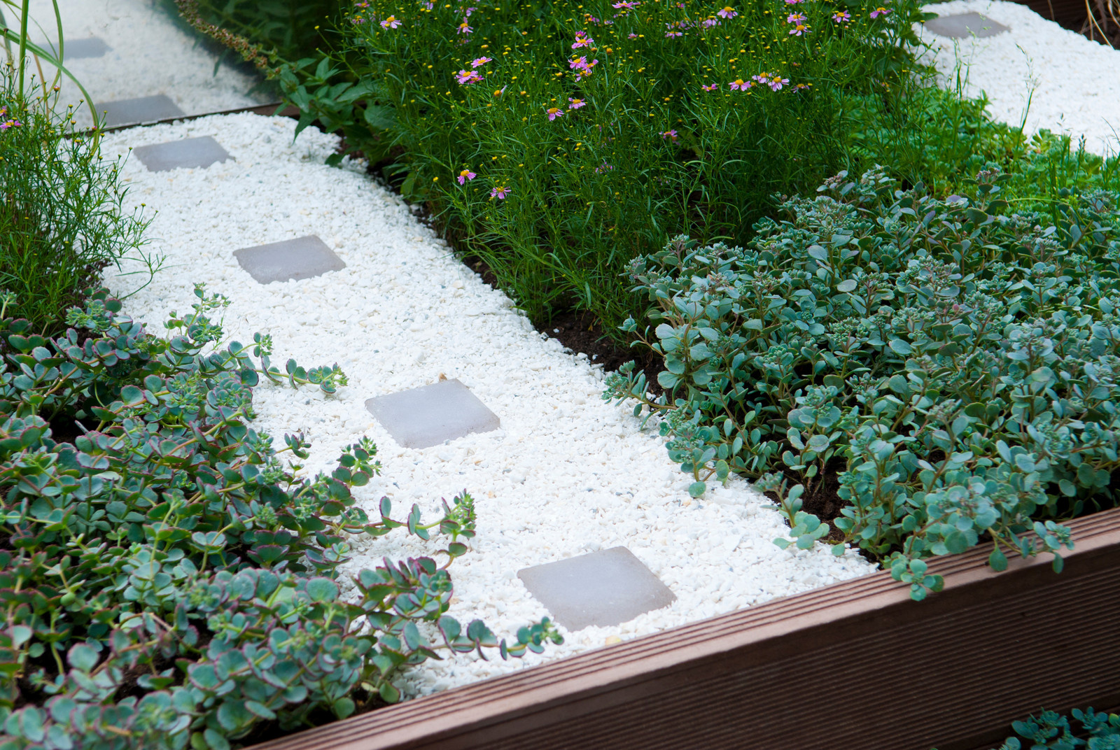 Геометрия в саду