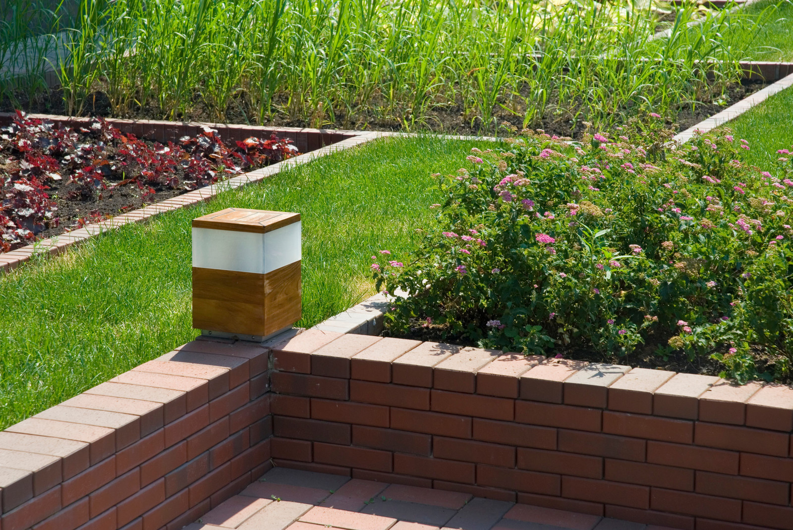 Геометрия в саду