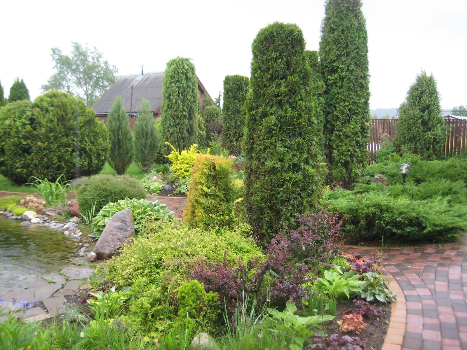 Обложка проекта: Хвойная идиллия