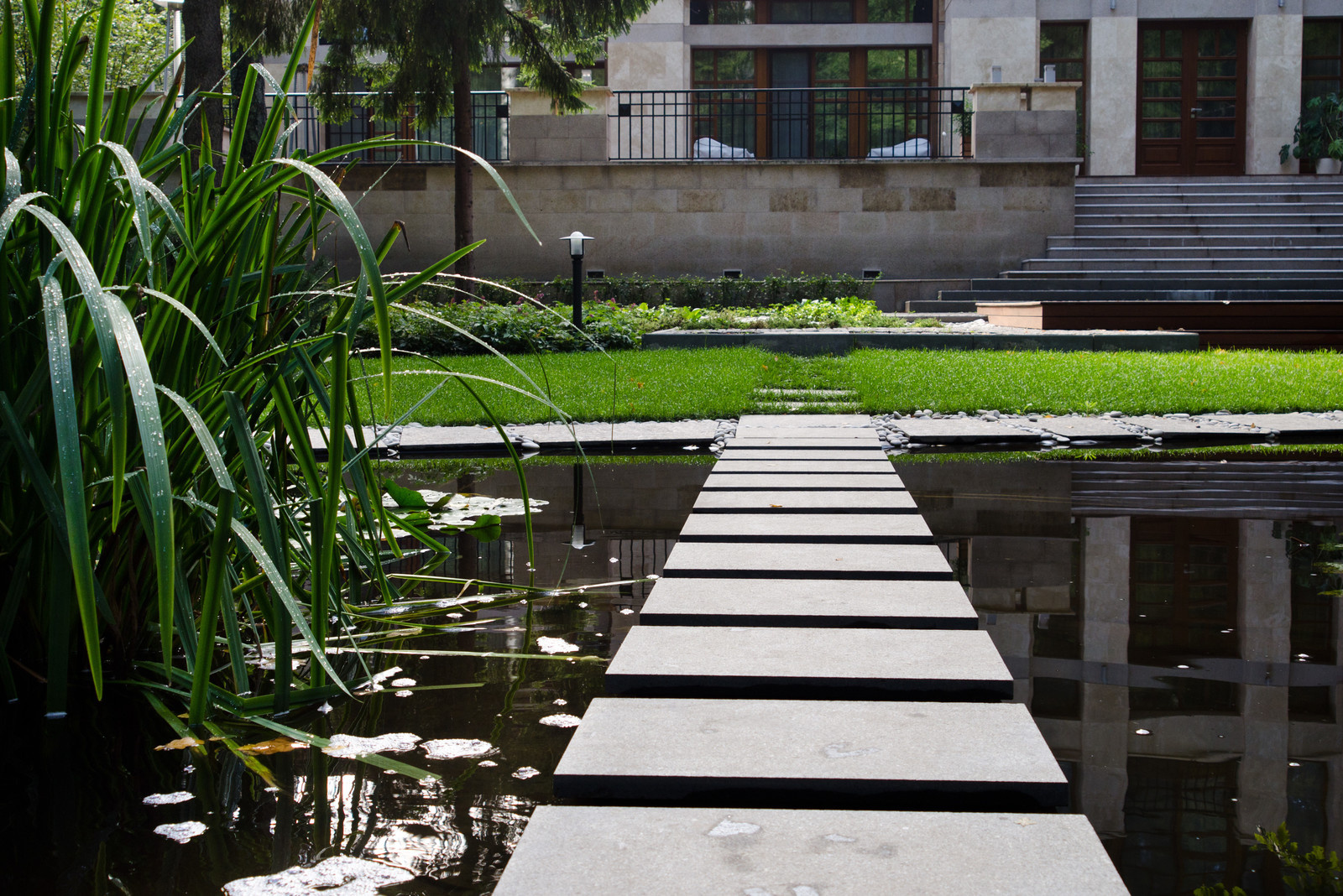 Глянцевый лес