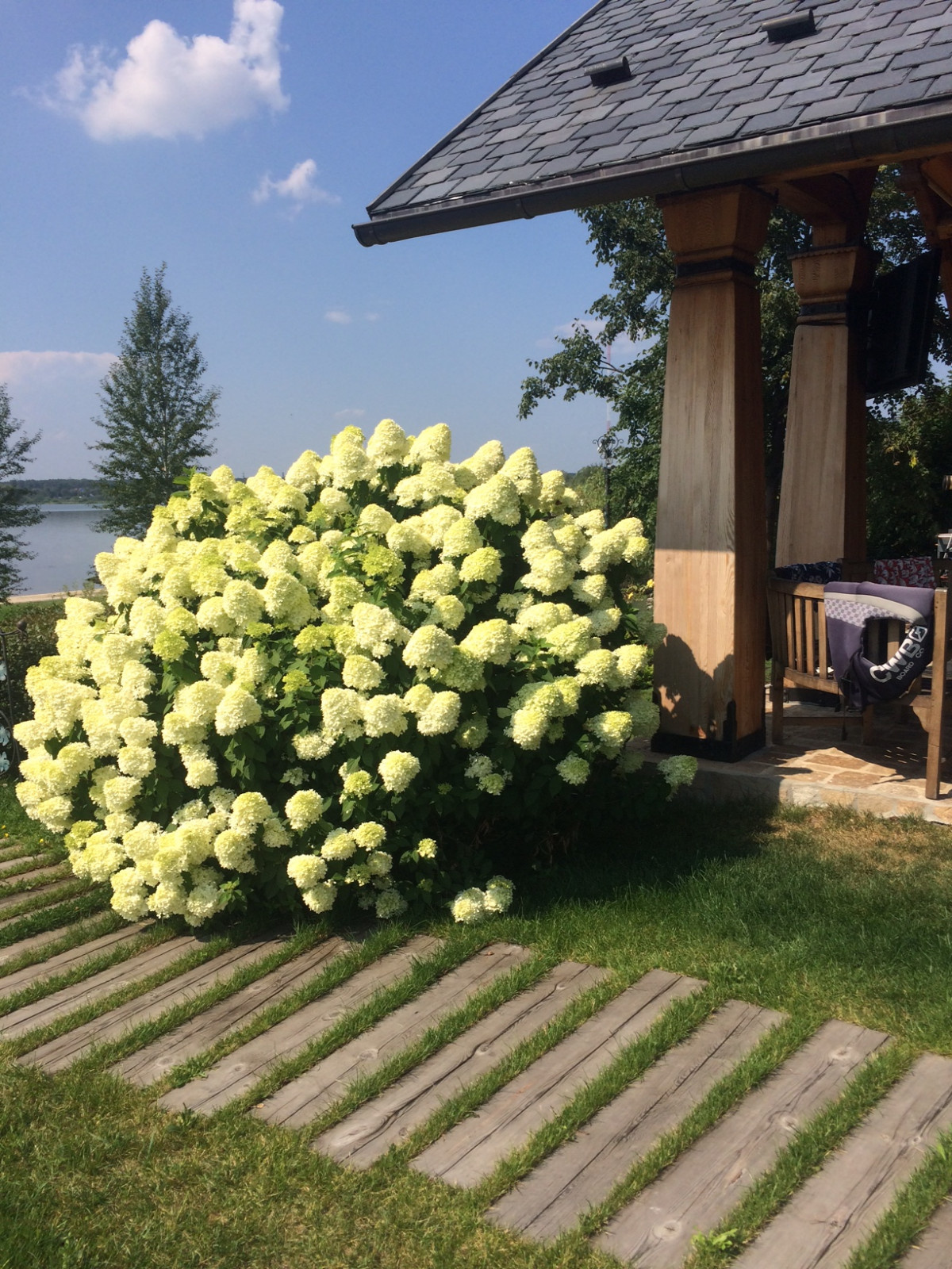 Юлия Сорокина