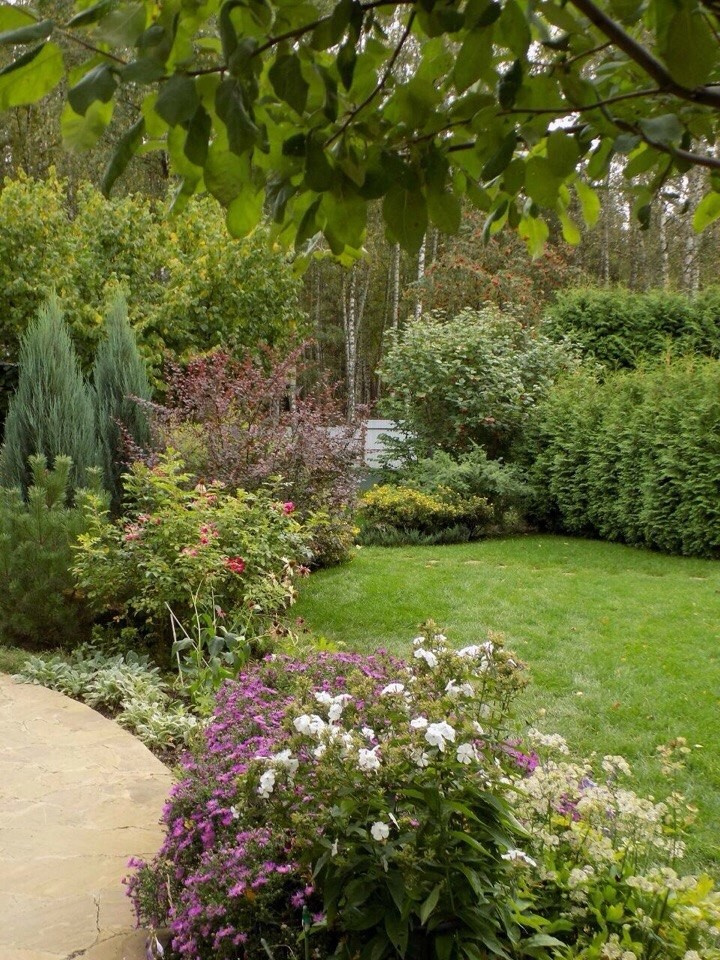 Озеленение, ландшафтный дизайн