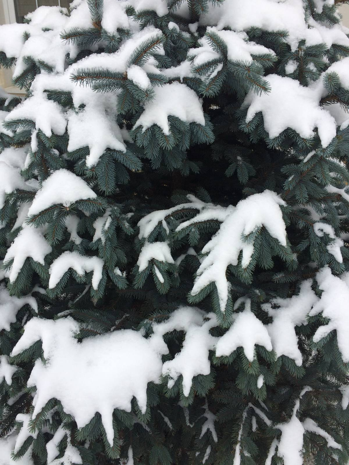 Варежки