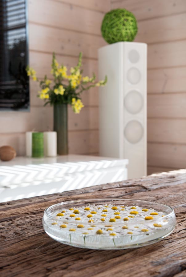 "Ольга" - дом из клееного бруса