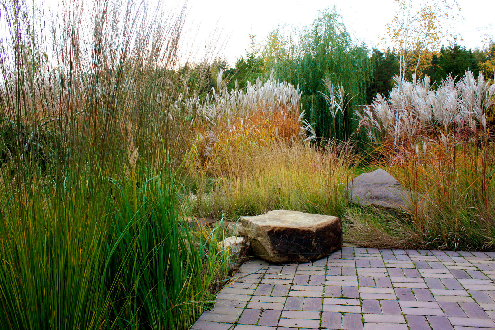 Сад трав в ландшафтном проекте дачи.