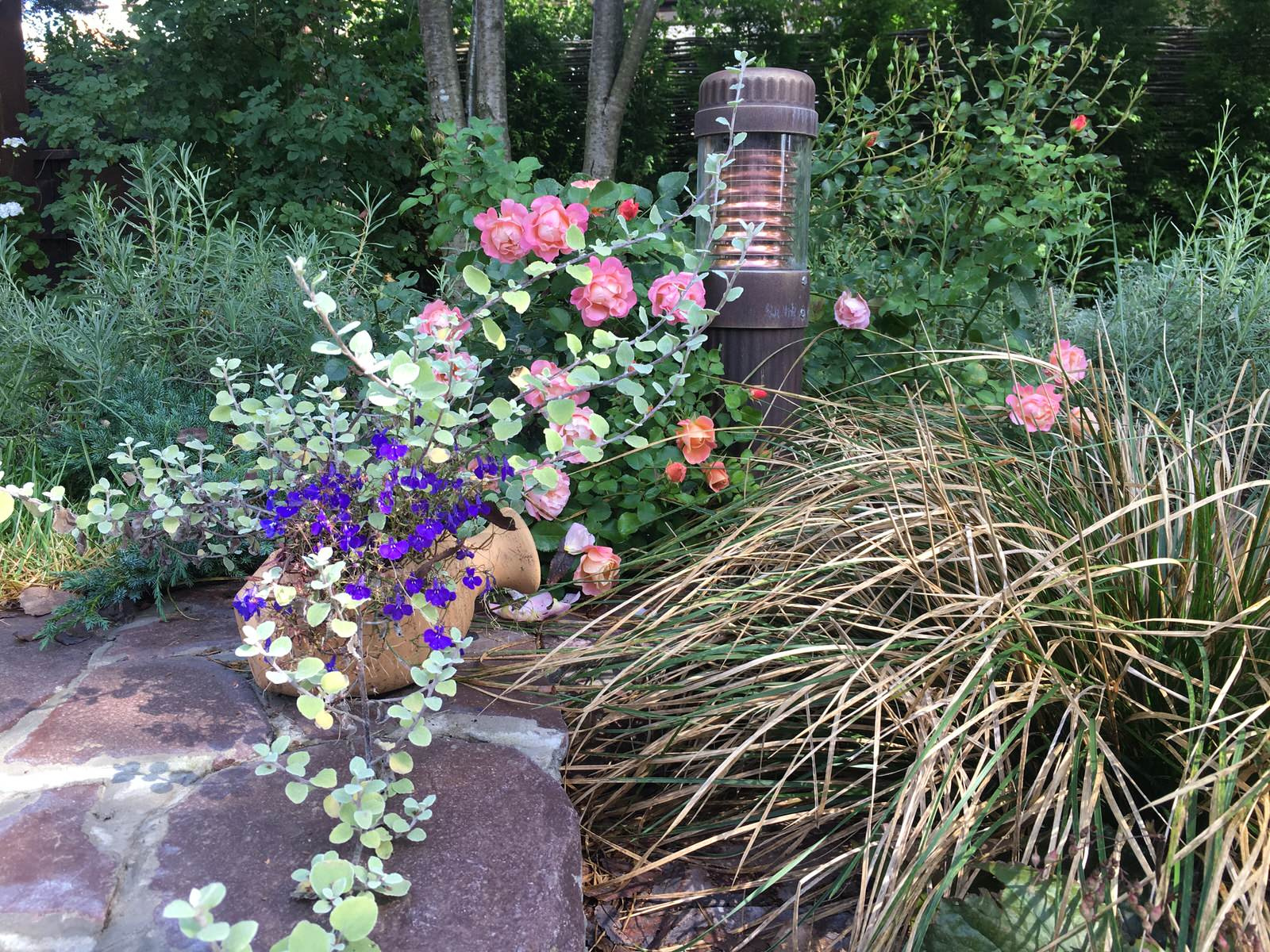 Греческие мотивы