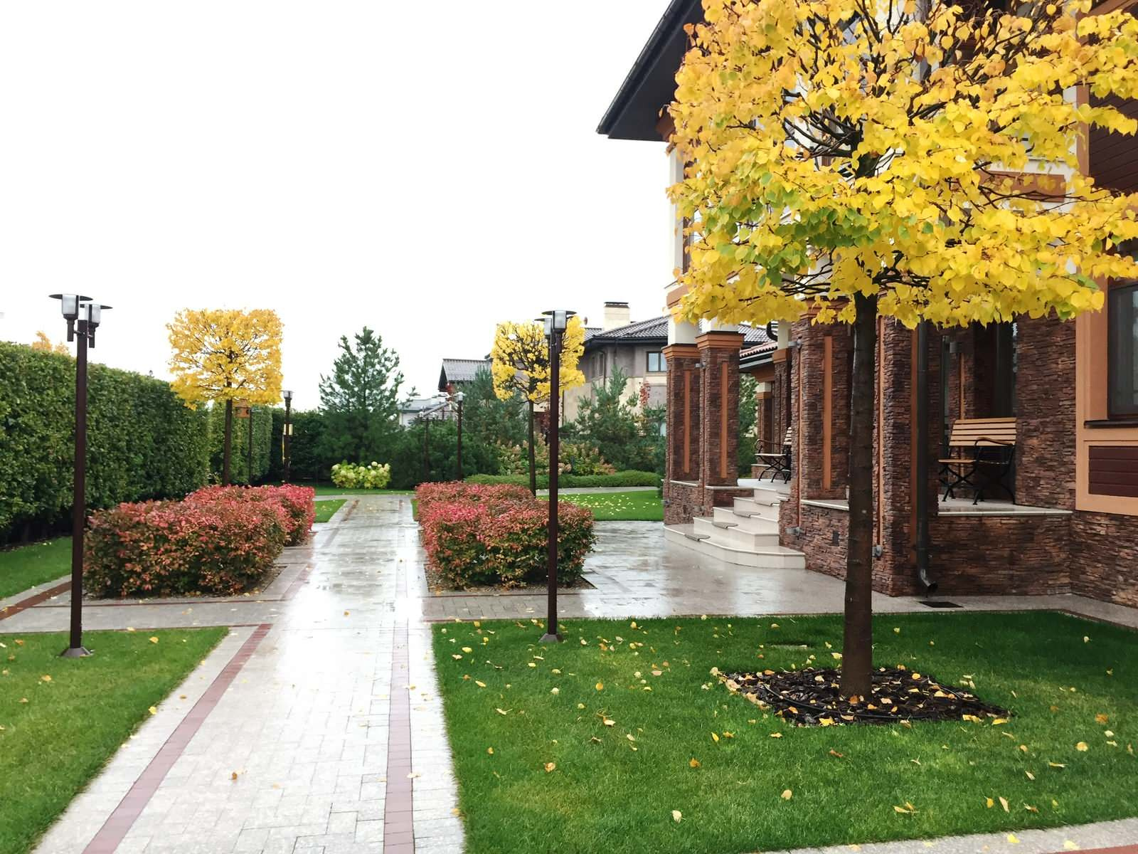 Миллениум2014