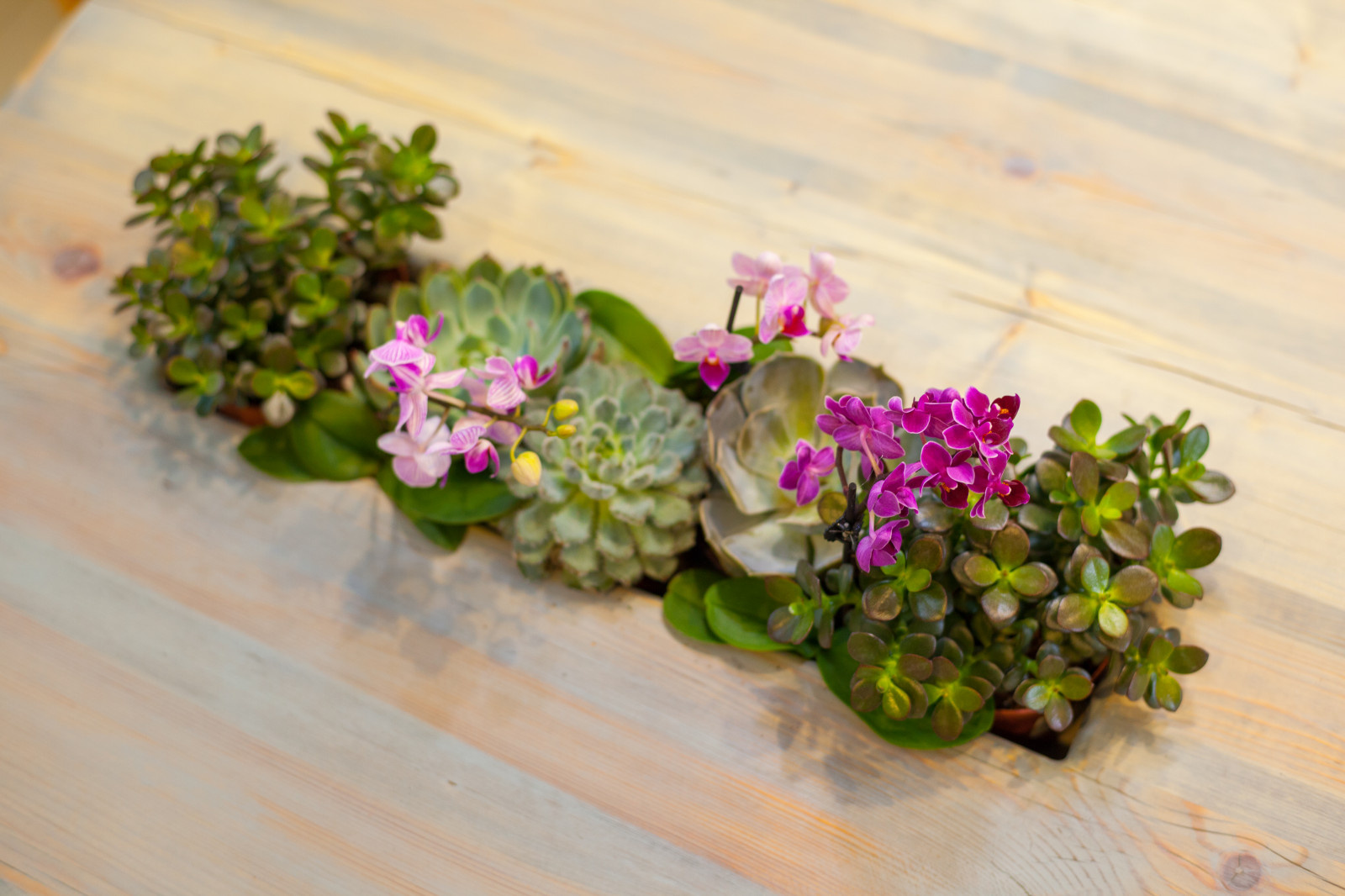 ПРОВАНСКАЯ ГОСТИНАЯ