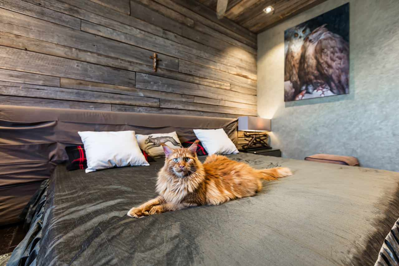 В гостях: Дом в серых тонах для бизнес-леди