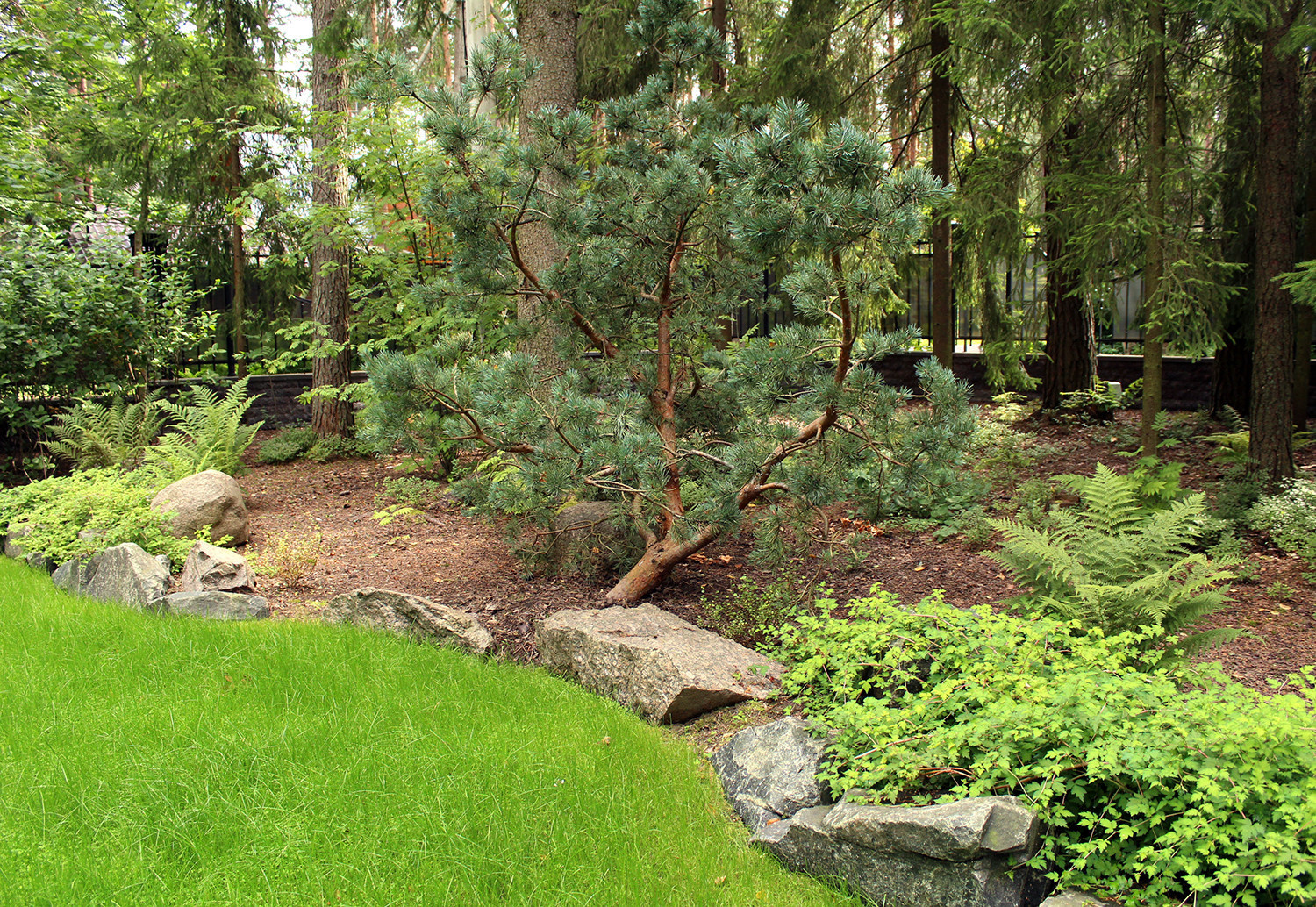 Обложка проекта: Комарово